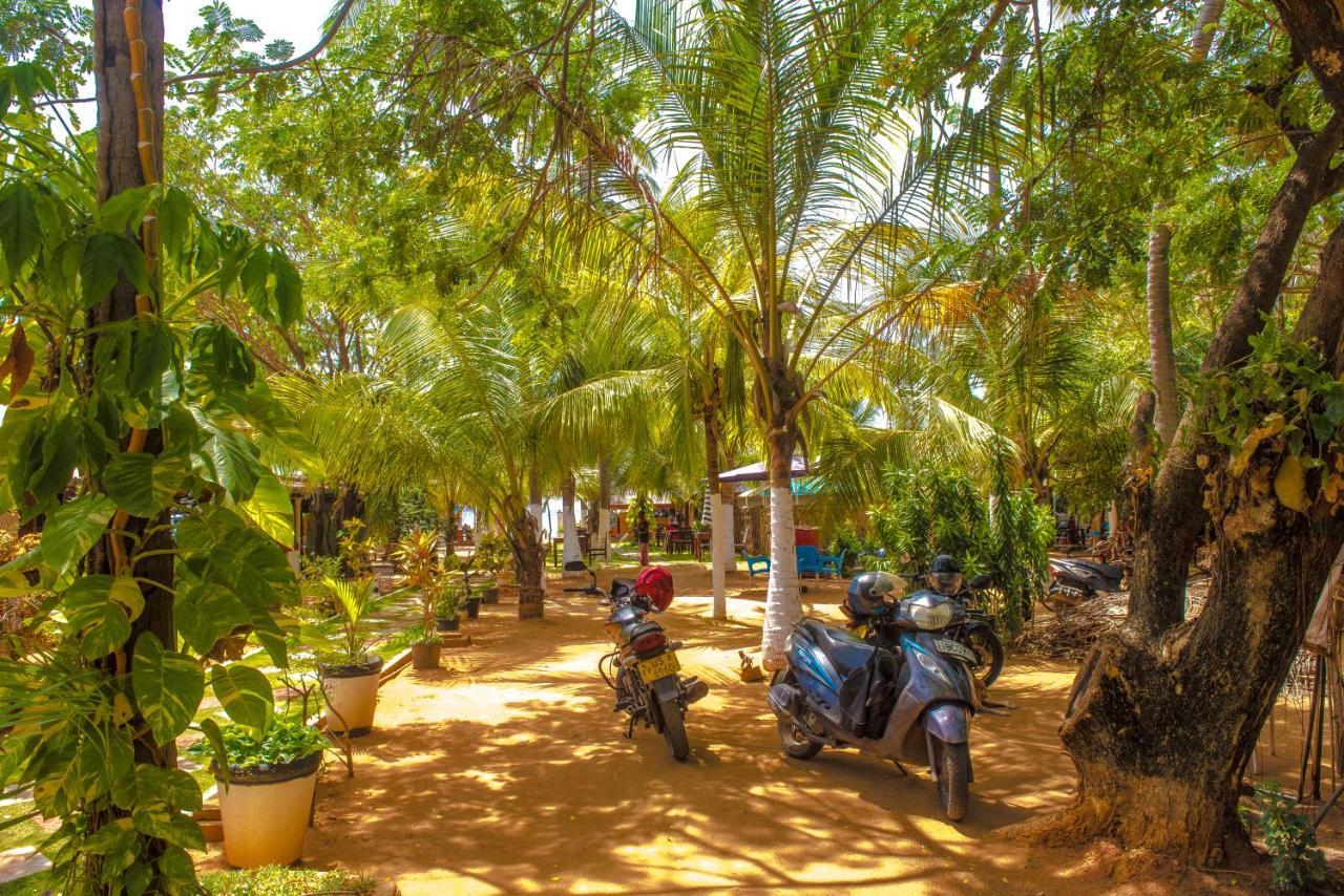 Coconut Beach Lodge Trincomalee Extérieur photo